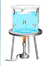 convection